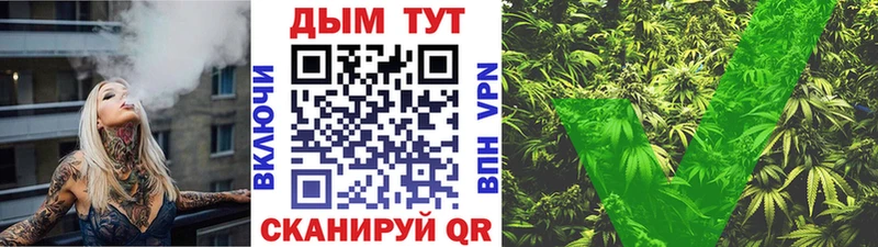Шишки марихуана индика  купить наркоту  Ельня 